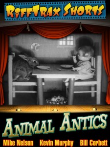 AnimalAntics